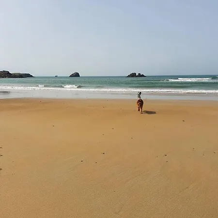 St Martins Old Schoolhouse Ballyroe 別荘