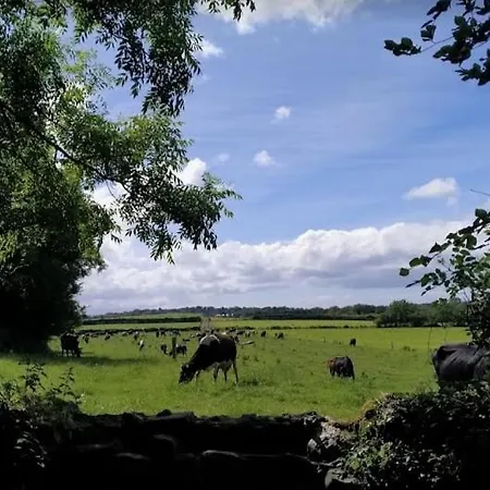 別荘 St Martins Old Schoolhouse Ballyroe トラリー