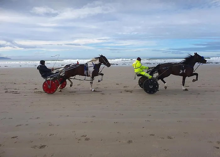 度假居 St Martins Old Schoolhouse Ballyroe