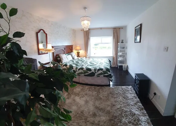 St Martins Old Schoolhouse Ballyroe 度假居 *