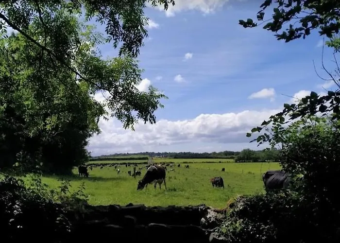 Nyaraló St Martins Old Schoolhouse Ballyroe Tralee