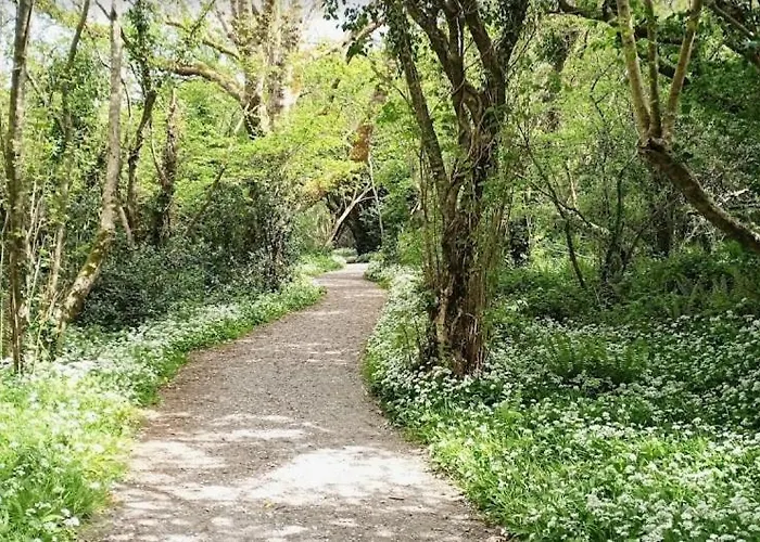 度假居 St Martins Old Schoolhouse Ballyroe *